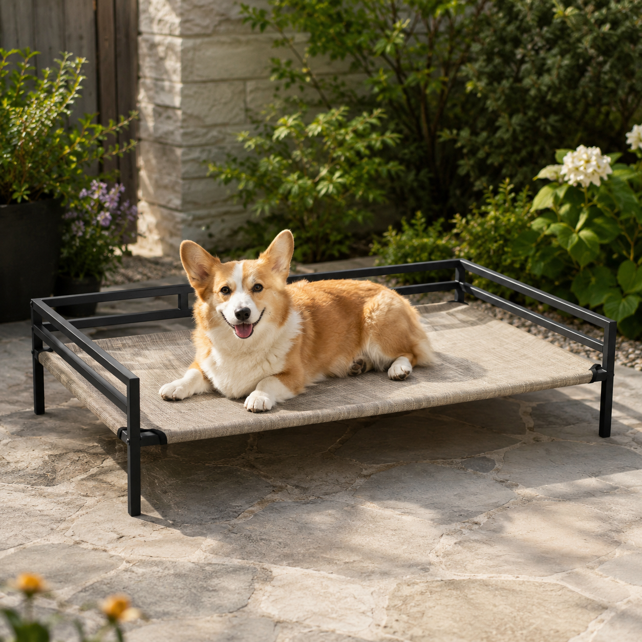 elevated extra large dog bed