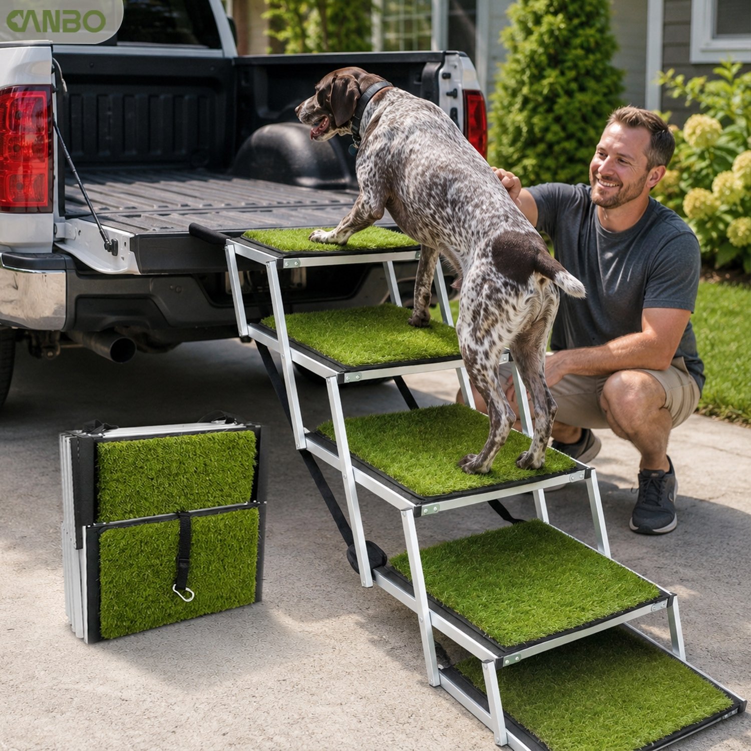 extra wide dog steps for large dog