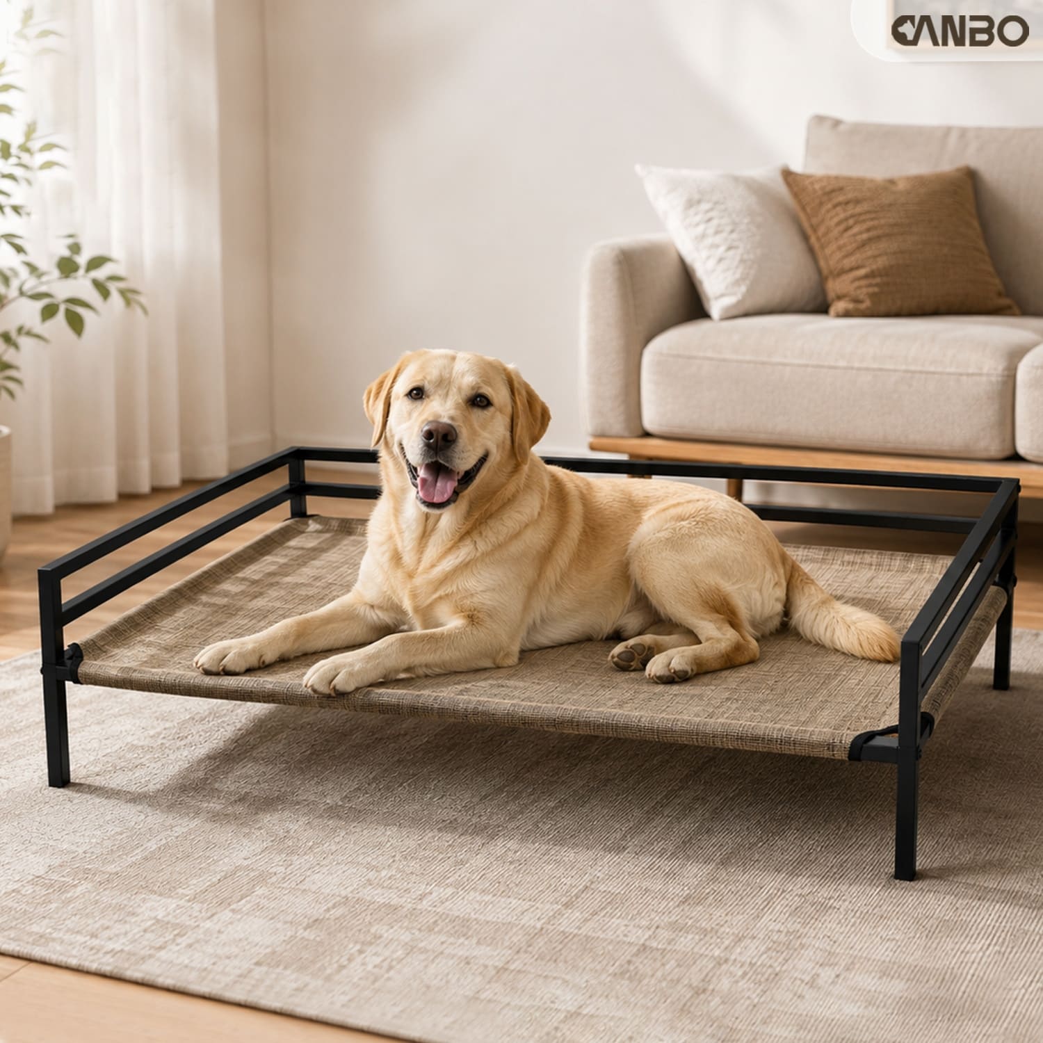 elevated beds for dogs