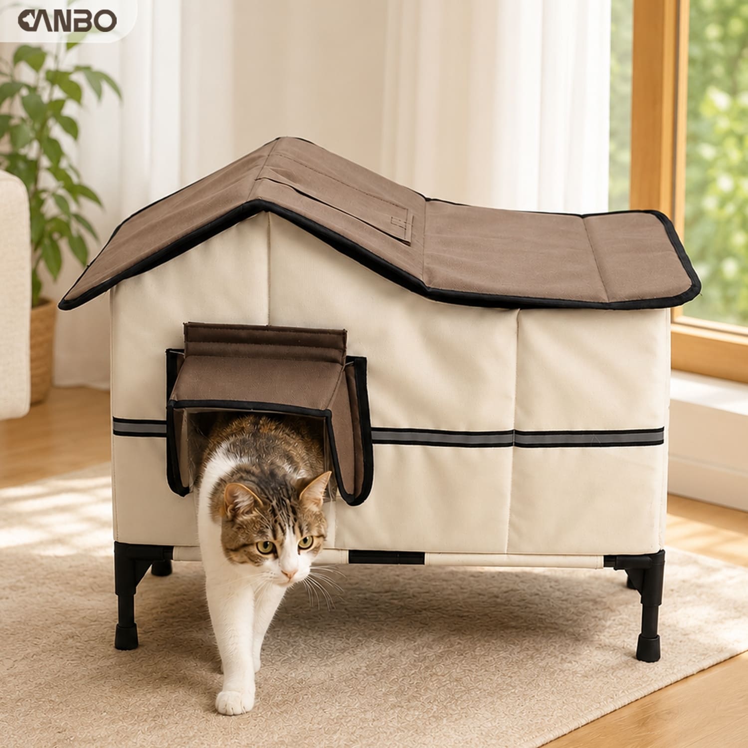 indoor cat home