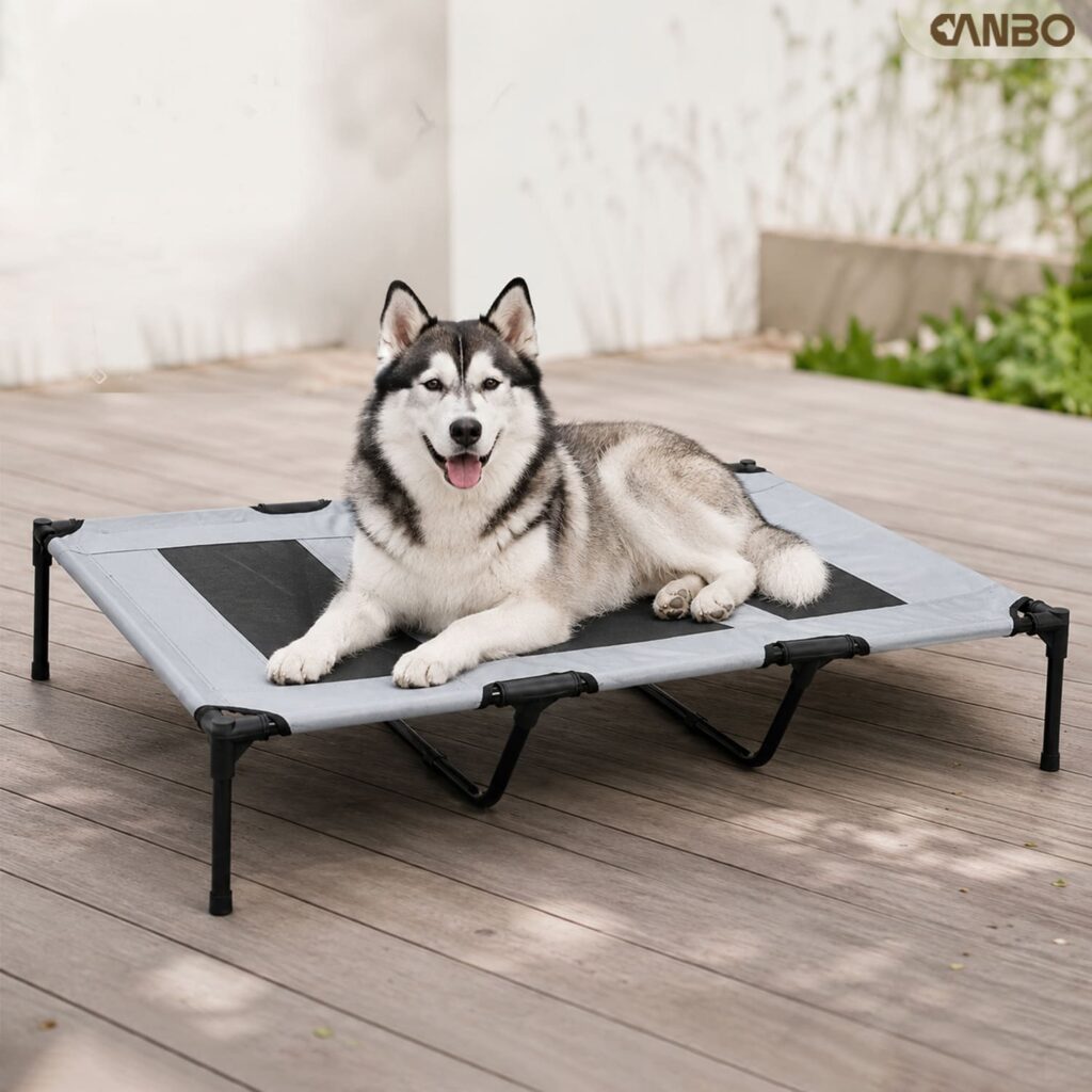 outdoor raised dog bed