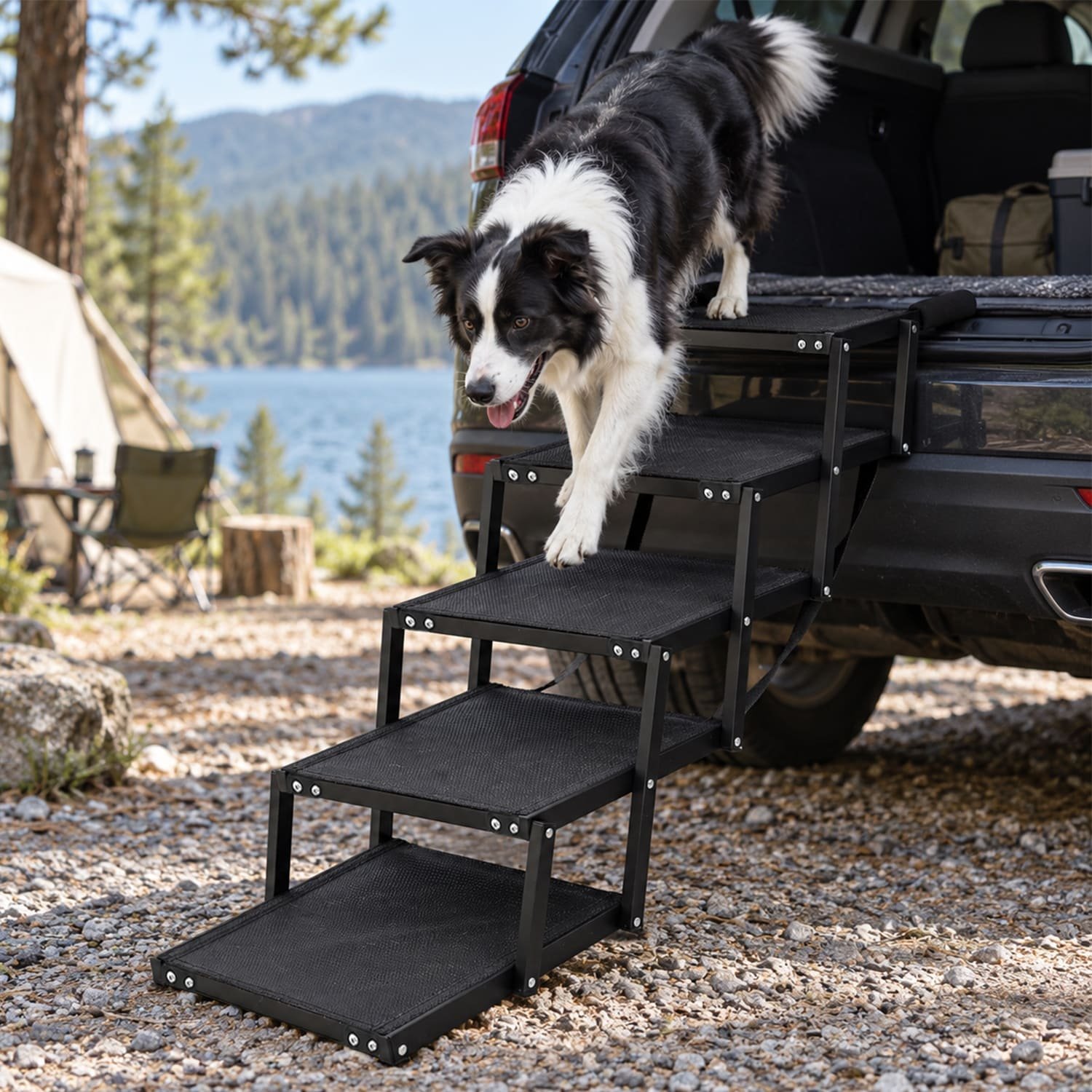 outdoor stair dog ramp