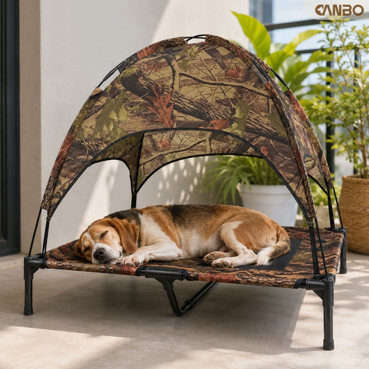 raised pet bed with canopy