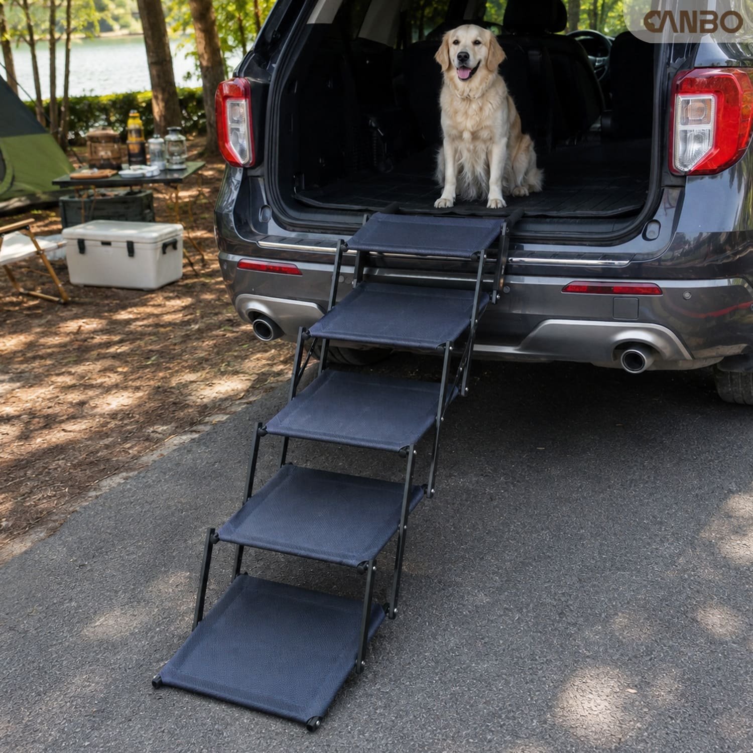 tall dog stairs